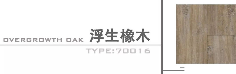 1579426228836365.jpg image017.jpg